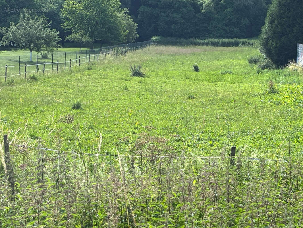 Terrain à BOUSBACH