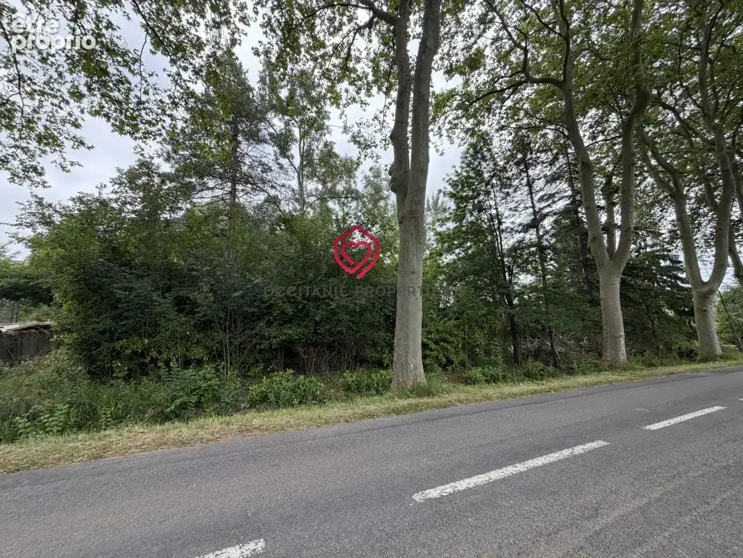 Photo Terrain à Castagnac au prix de 50 000€