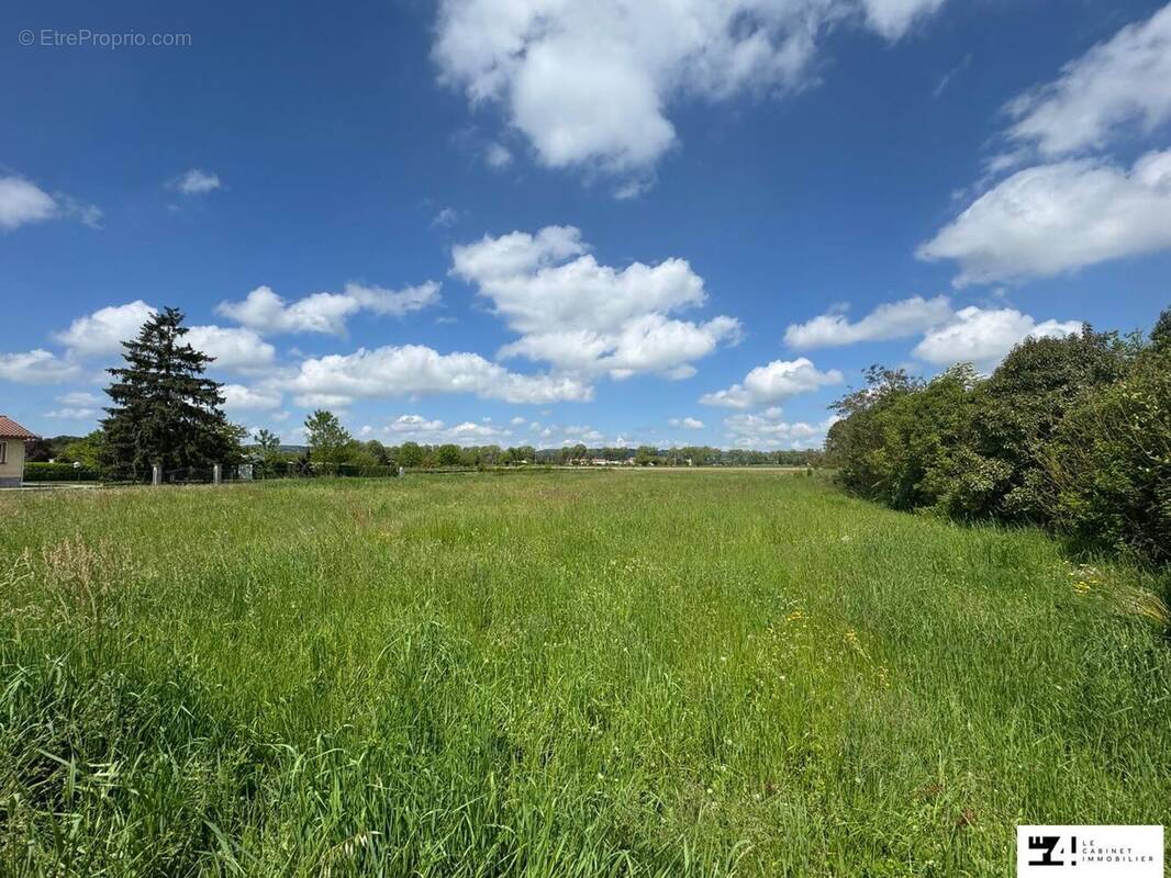 Terrain à MARTRES-TOLOSANE