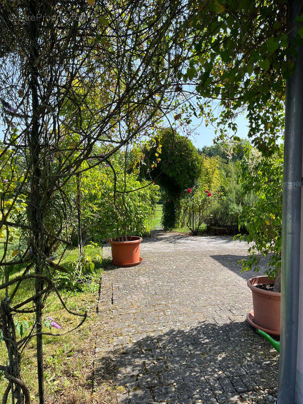 Maison à LANGENSOULTZBACH