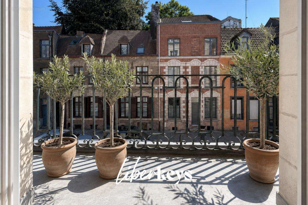 Maison de caractère de 150 m² – 7 pièces - Vieux-Lille - photo 4