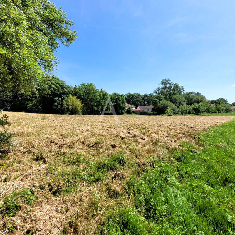 Terrain à LE CHAMP-SAINT-PERE