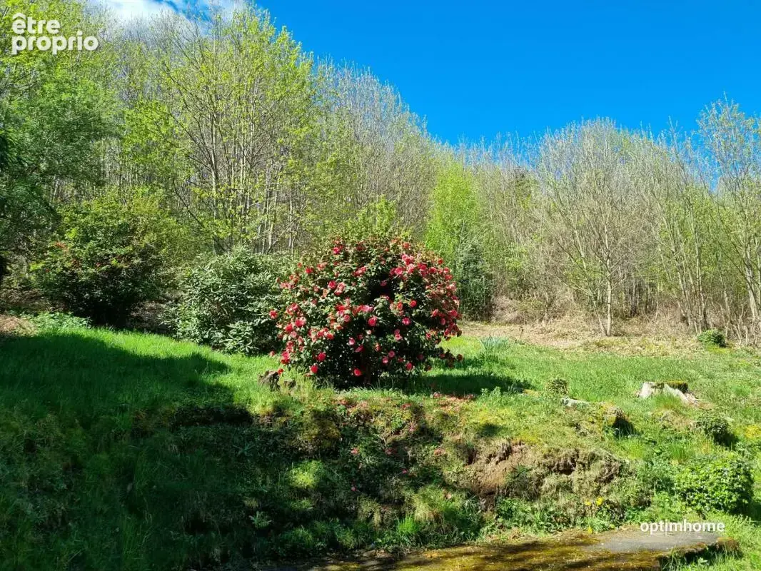 Albussac- Beynat -Grande maison sur 3000 m2 terrain - photo 6
