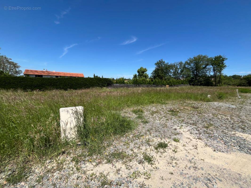 Terrain à PONCINS