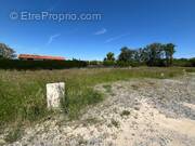 Terrain à PONCINS