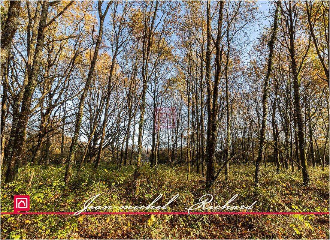 Terrain à COURMEMIN