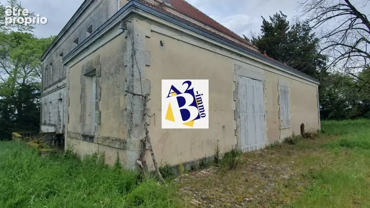 10 Min Cognac, Maison de Maitre à rénovée, dépendances - photo 35