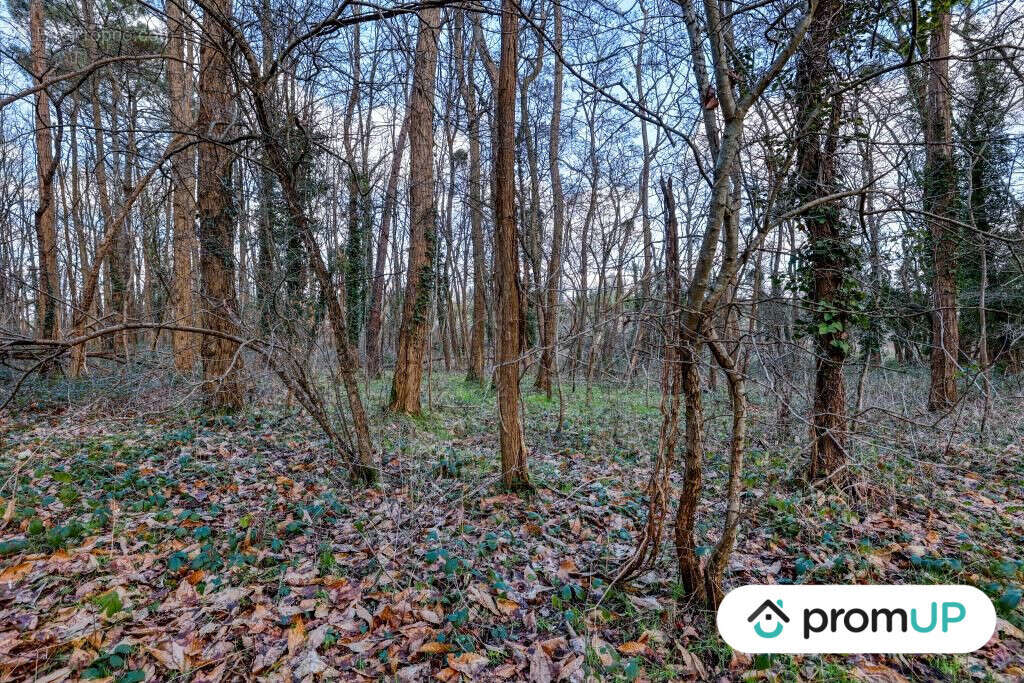 Terrain à CHATILLON-SUR-CHER
