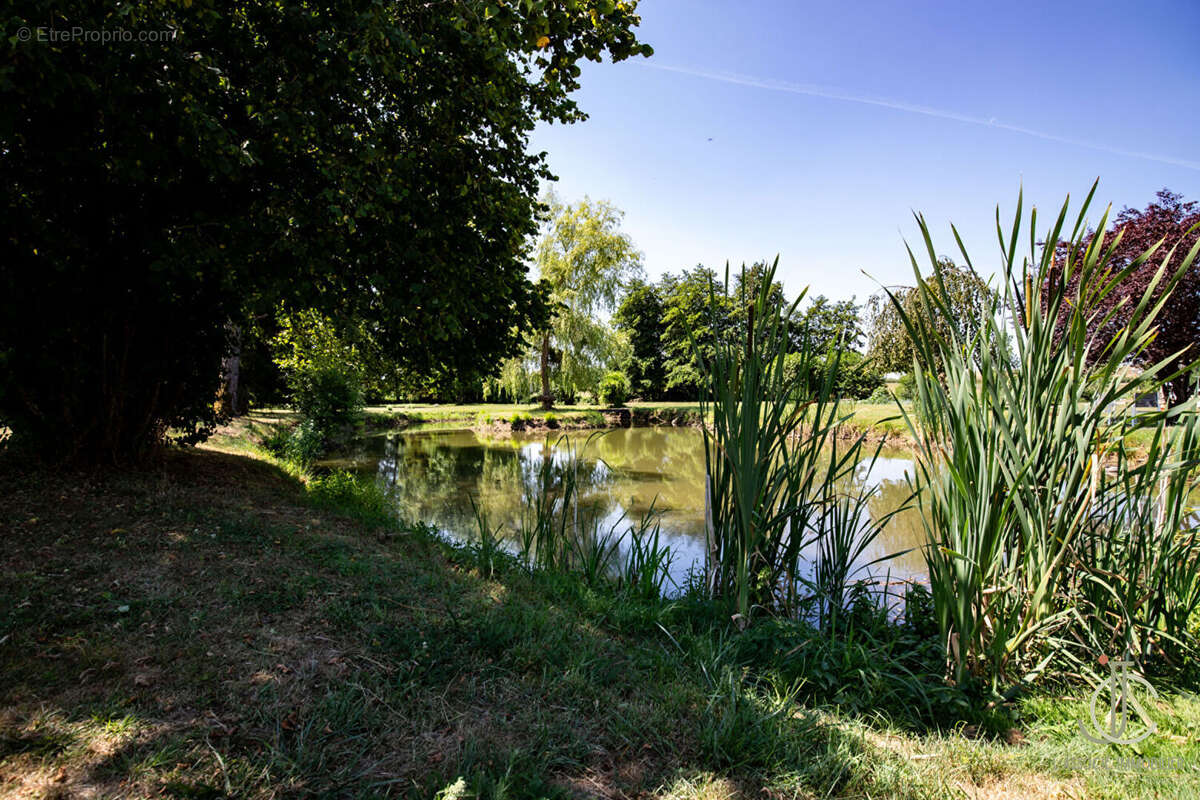 Saint Ouen Les Parey / Vosges : Ancien Moulin rénové 328m², Étang, 2.6 Hectares, DPE A - photo 8