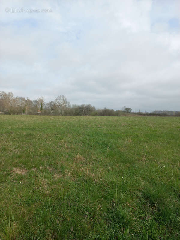 Terrain à CASTELNAU-MAGNOAC