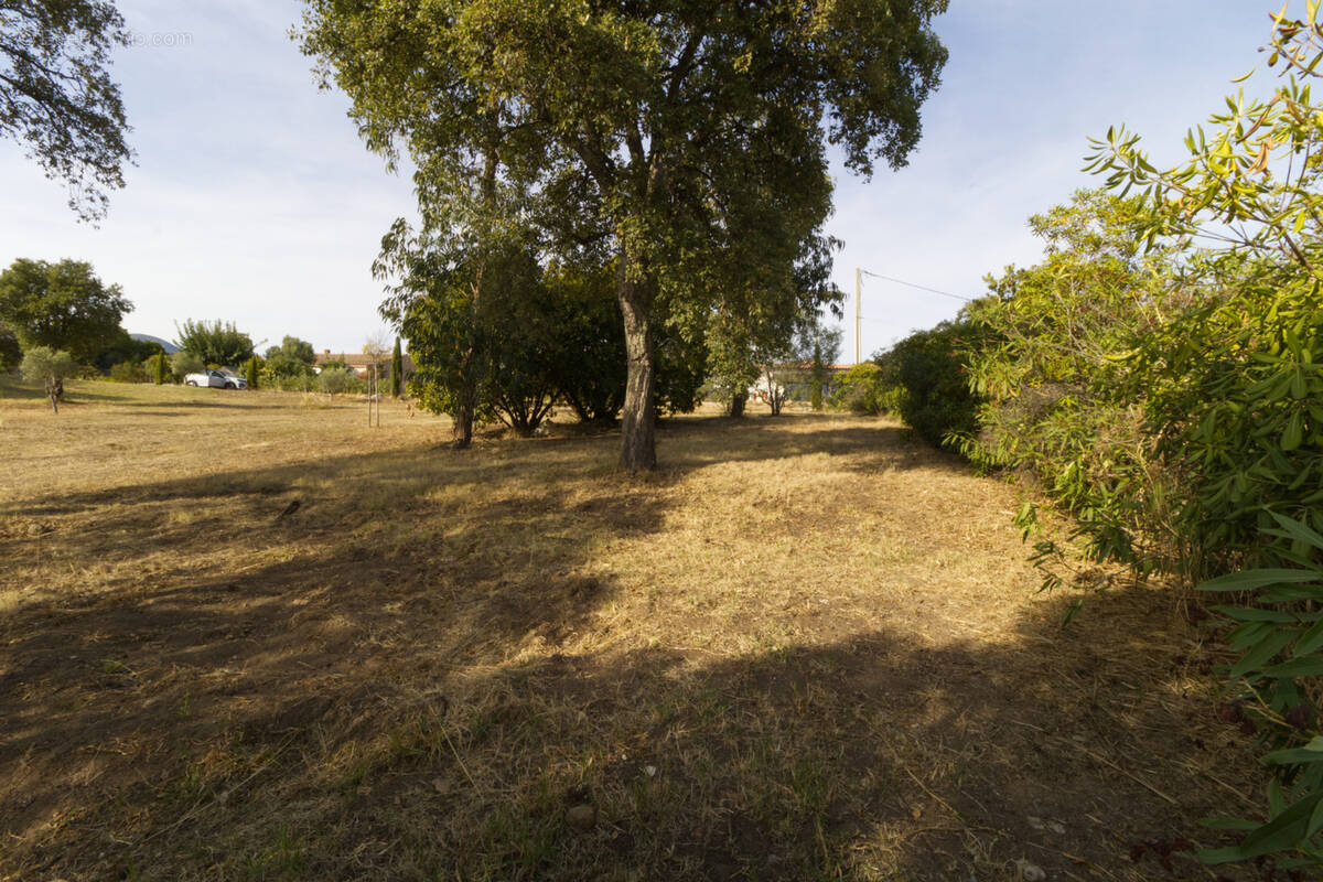 Terrain à BASTELICACCIA