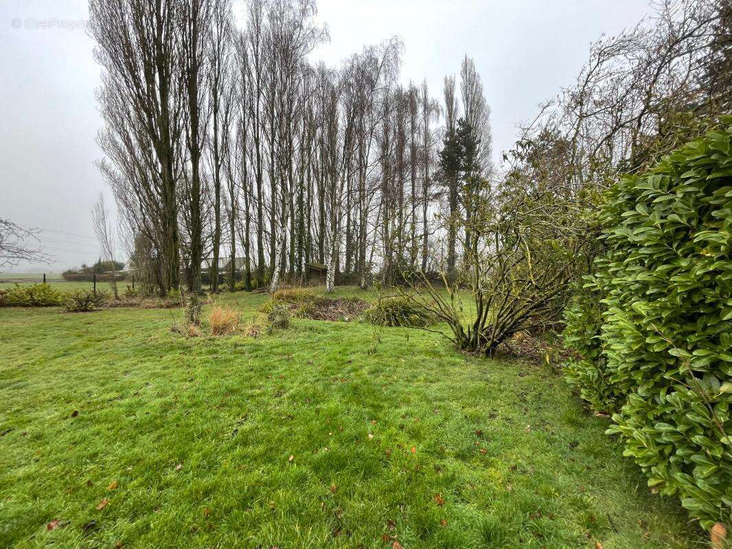 Maison à MONS-EN-PEVELE