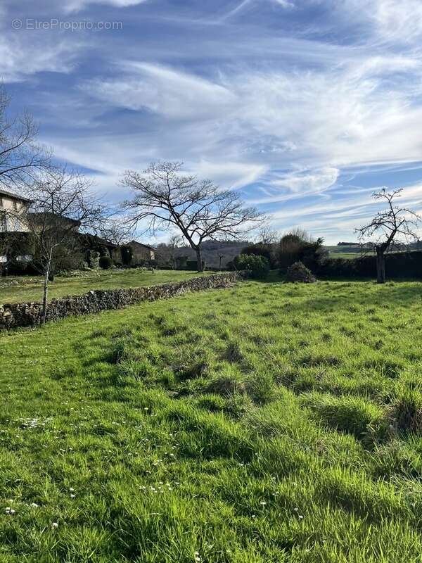 Terrain à VERNEUIL-SUR-VIENNE