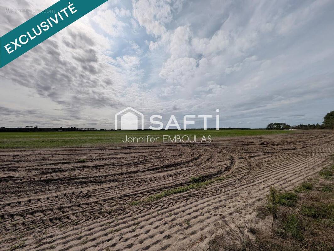 Photo 1 - Terrain à BELIN-BELIET