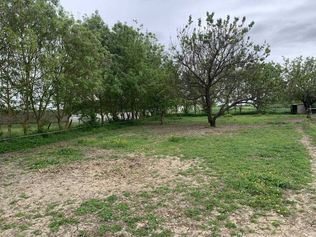 Terrain à SALLES-SUR-MER