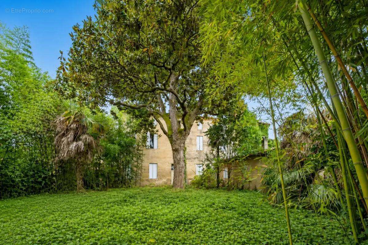 Maison 8 pièces de 400 m2 située à Saint-Médard-de-Guizières - photo 2