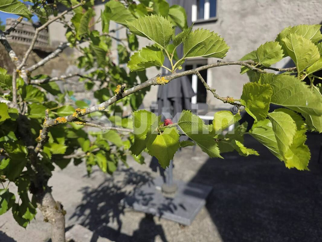 Maison à AIX-LES-BAINS