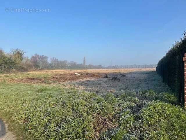 Terrain à PONTHOILE