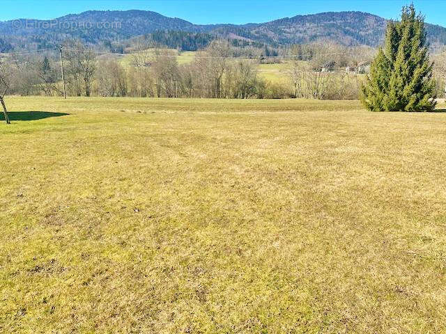 Terrain à SAINT-ANDRE-DE-BOEGE