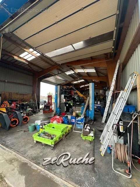 Commerce à COURSEULLES-SUR-MER