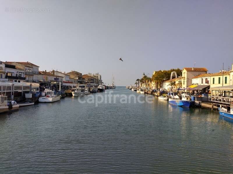 Commerce à LE GRAU-DU-ROI