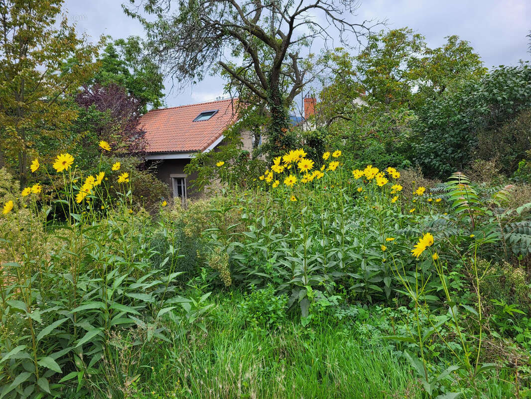 Maison à CLERMONT-FERRAND