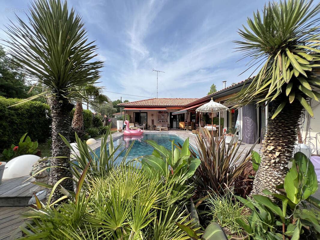 Maison à LE TEICH