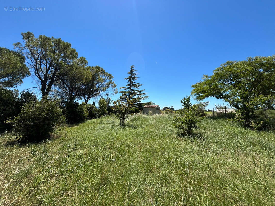 Terrain 856 m² à Sainte-Cecile-Les-Vignes  - photo 2