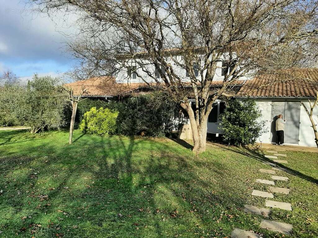 Commerce à SAINT-ANDRE-DE-CUBZAC