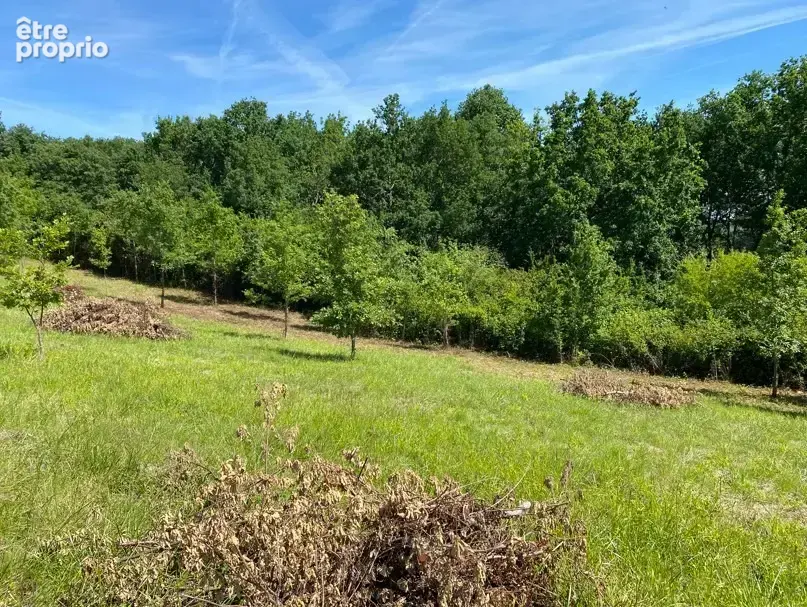 Terrain à MONTAUBAN