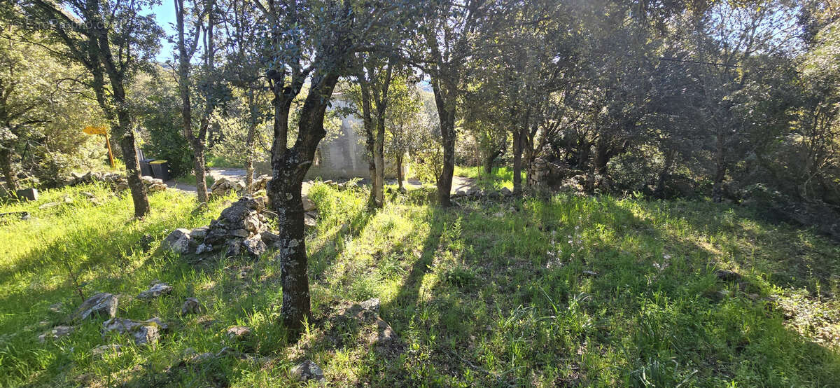 Terrain à GIUNCHETO