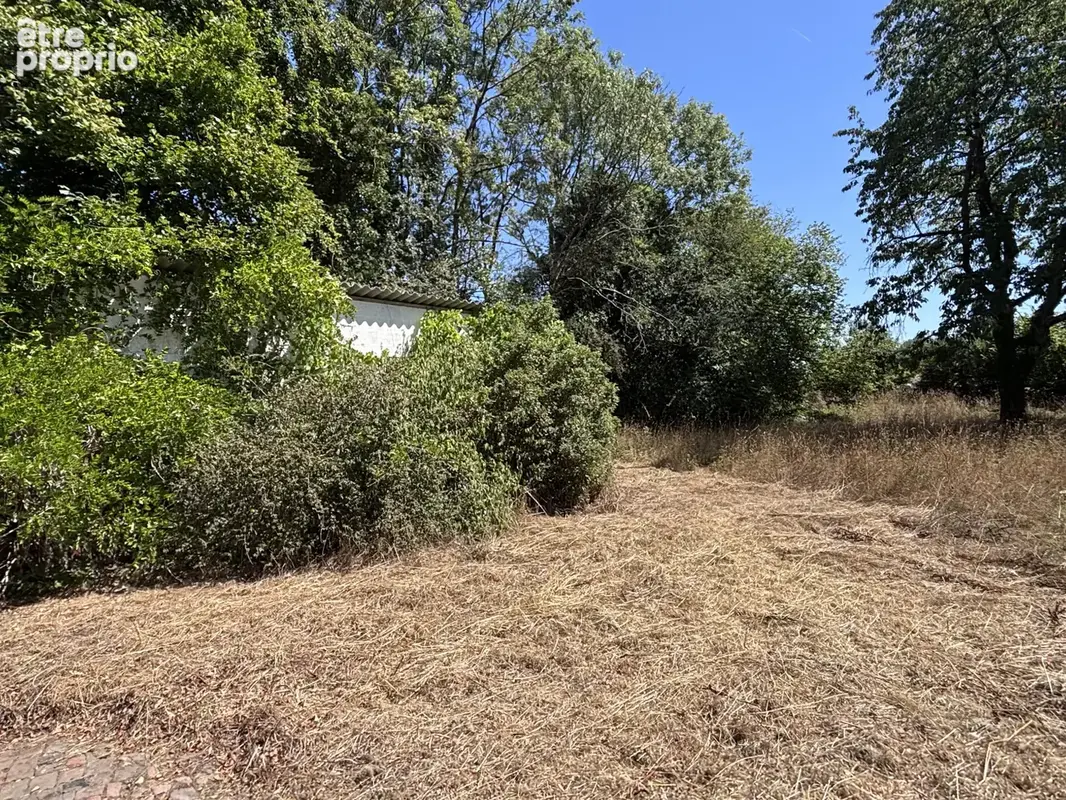 Vivre au coeur de la nature avec sa prairie et sa forêt dans une Maison de campagne sur 2,7ha... - photo 15