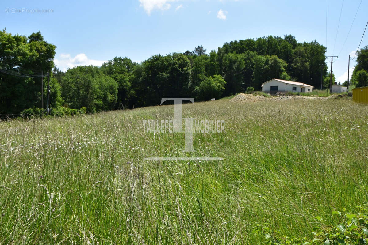 Terrain à SAINT-ASTIER