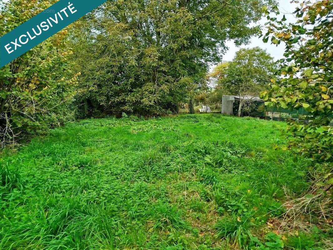 Photo 3 - Terrain à BEAURAINVILLE
