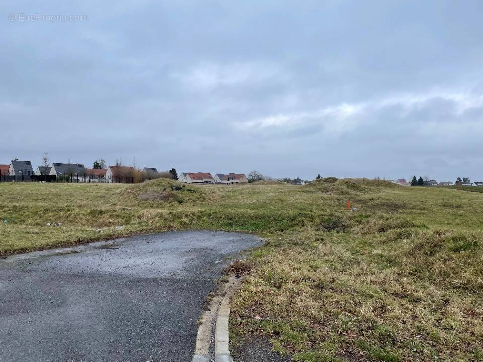 Terrain à LAMBRES-LEZ-DOUAI