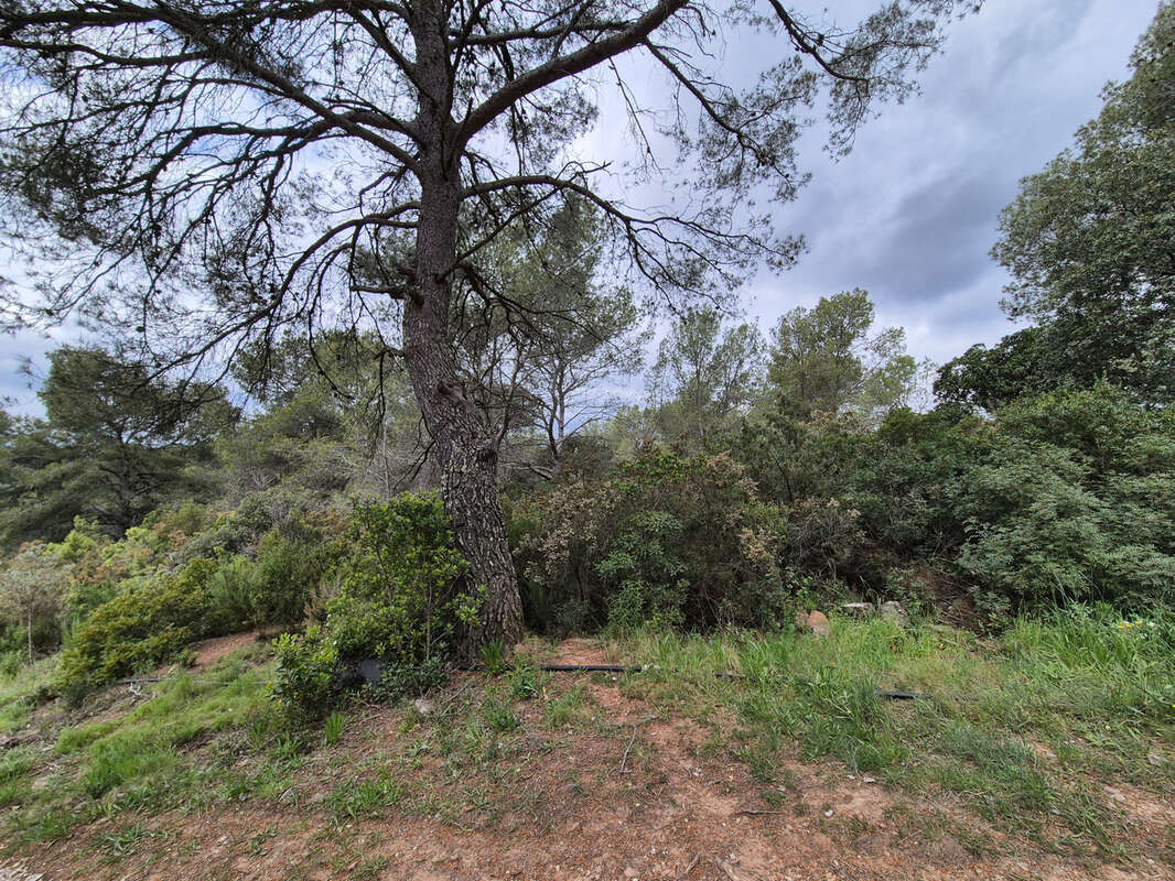 Terrain à LA CRAU