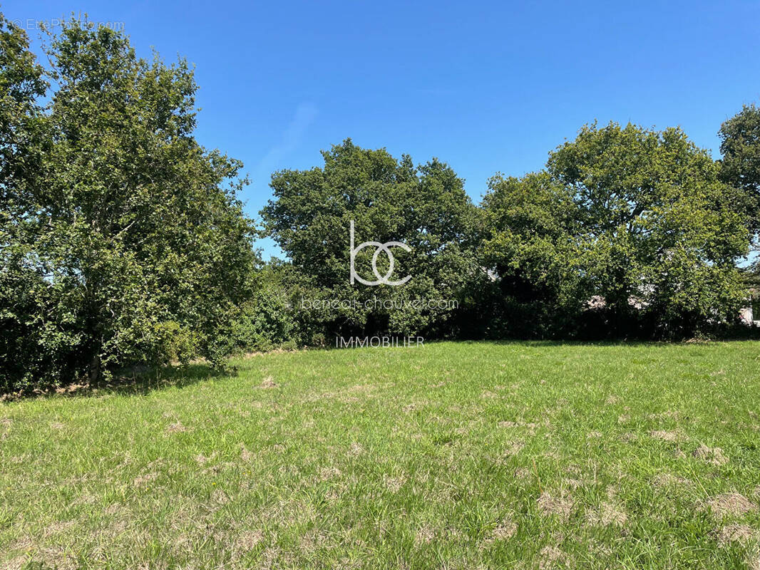 Terrain à SARZEAU