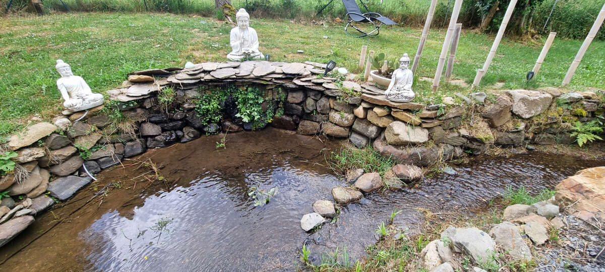 Nouveauté ! - photo 8