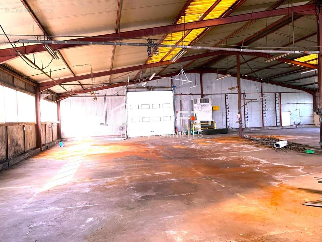 Photo 6 - Commerce à AIXE-SUR-VIENNE