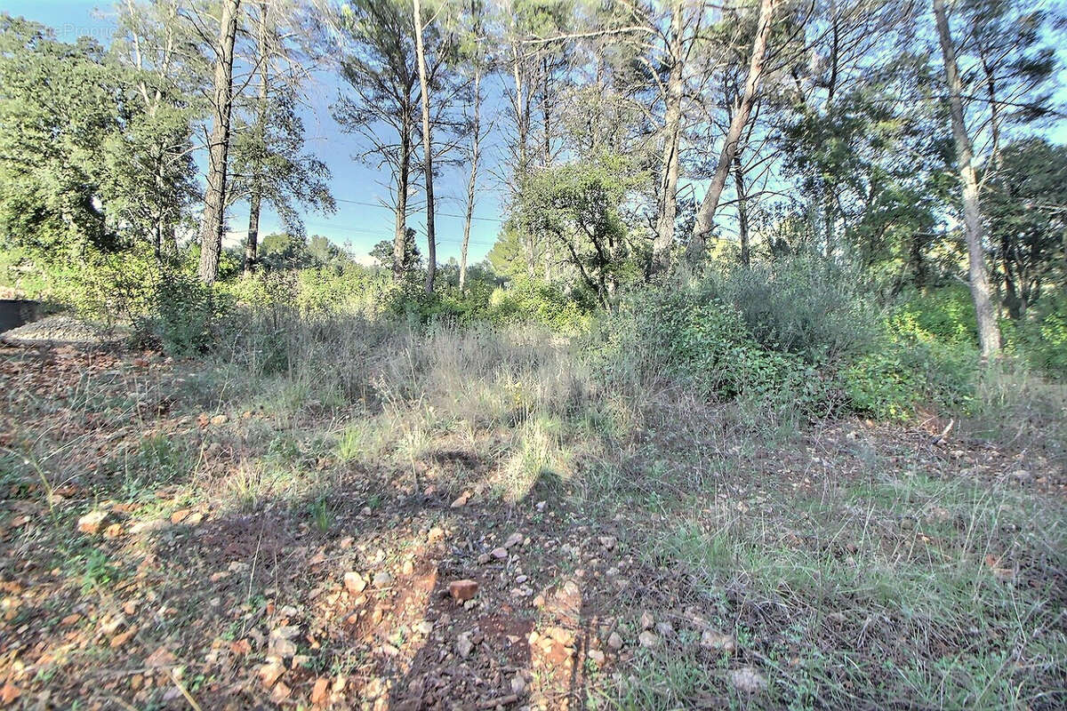 Terrain à TRANS-EN-PROVENCE