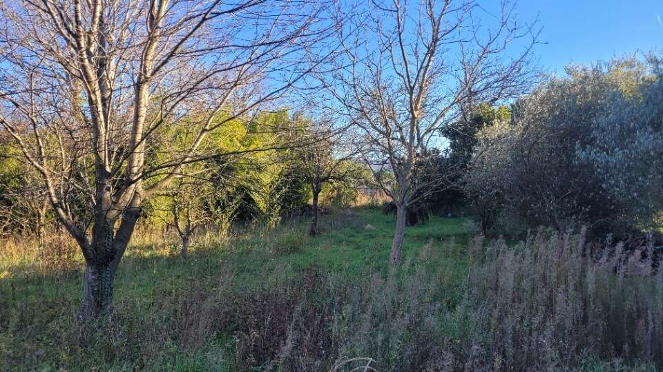 Terrain 400 m² à Cruas  - photo 3