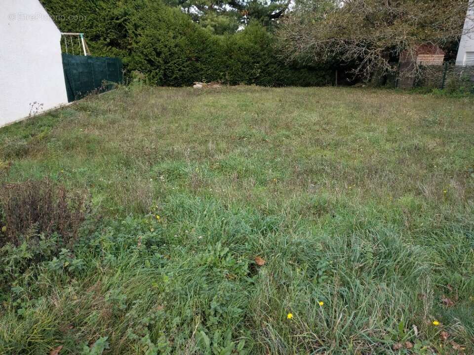Terrain à VERT-SAINT-DENIS