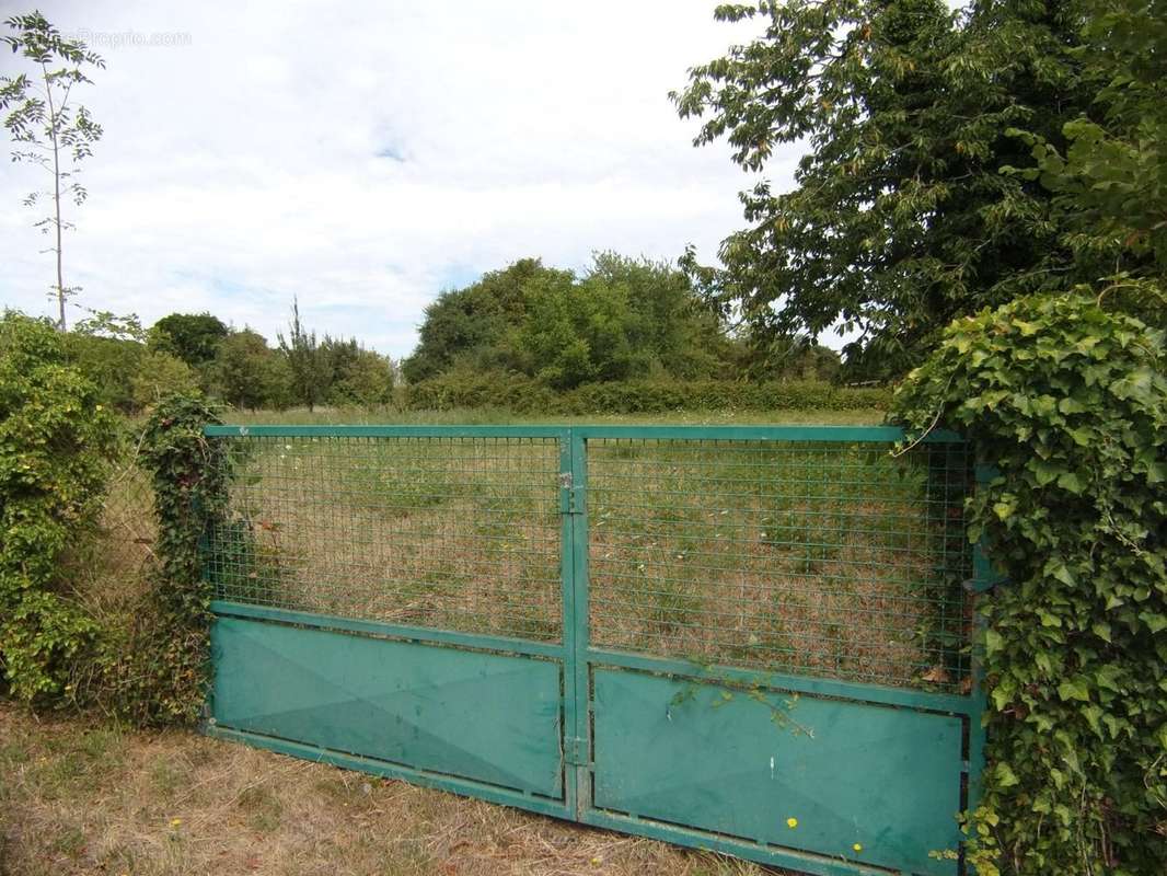 Terrain à VILLEMAIN