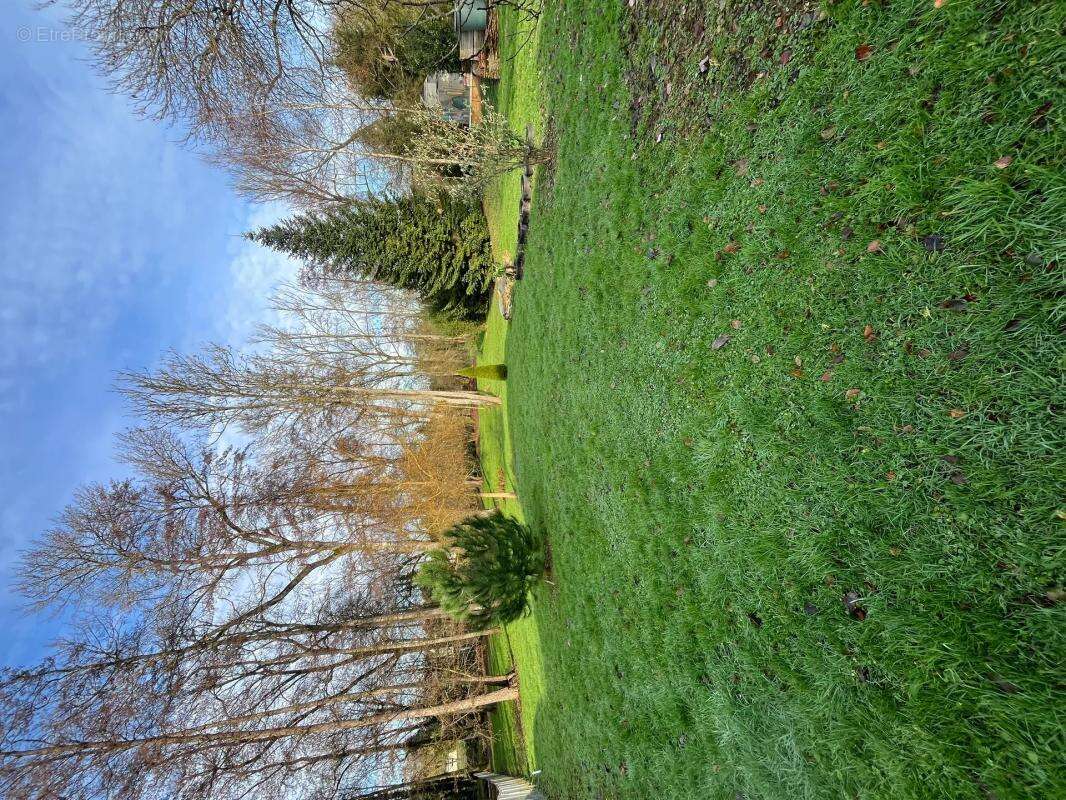 Maison à TOURNAN-EN-BRIE