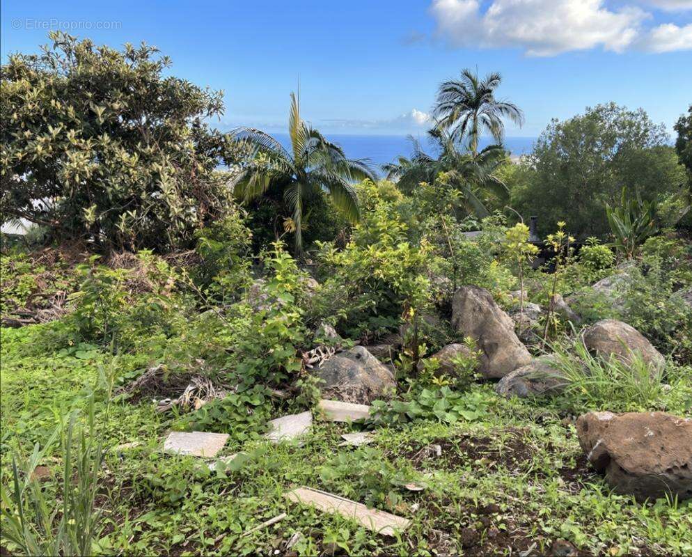 Terrain à SAINT-PAUL