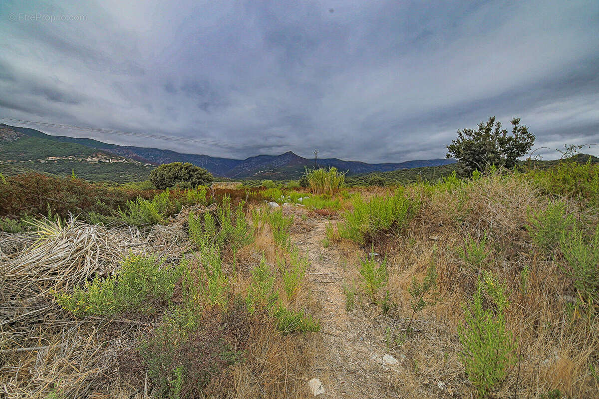 Maison à OCCHIATANA