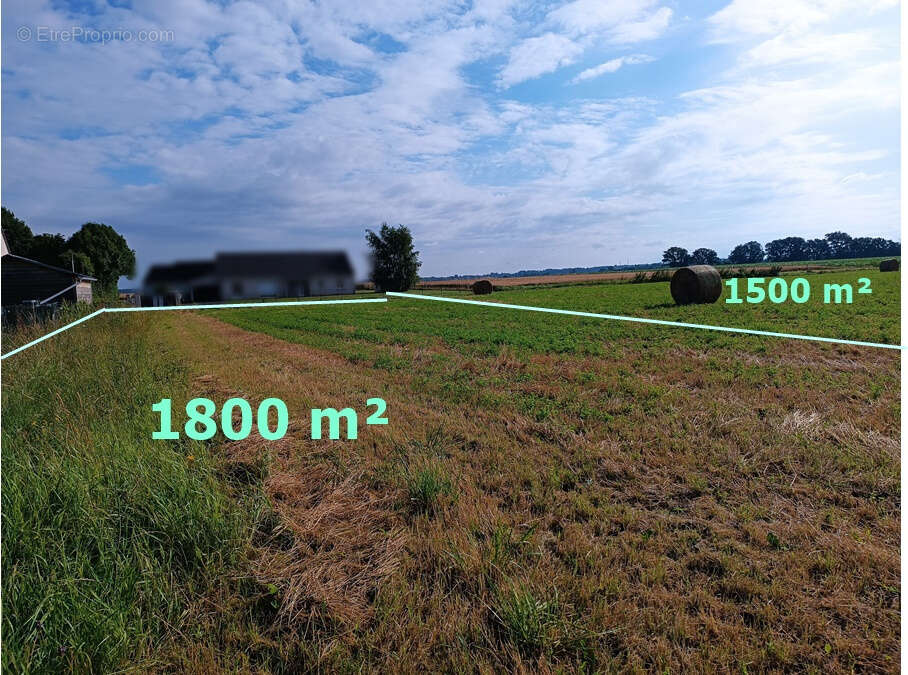 Terrain à NERONDES