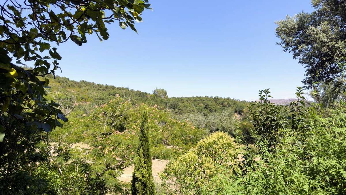 Maison 100 m² à Montauriol  - photo 17