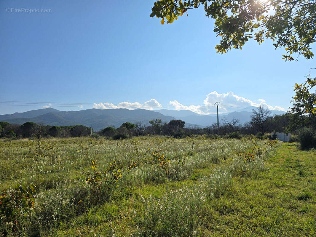 Terrain à ARGELES-SUR-MER