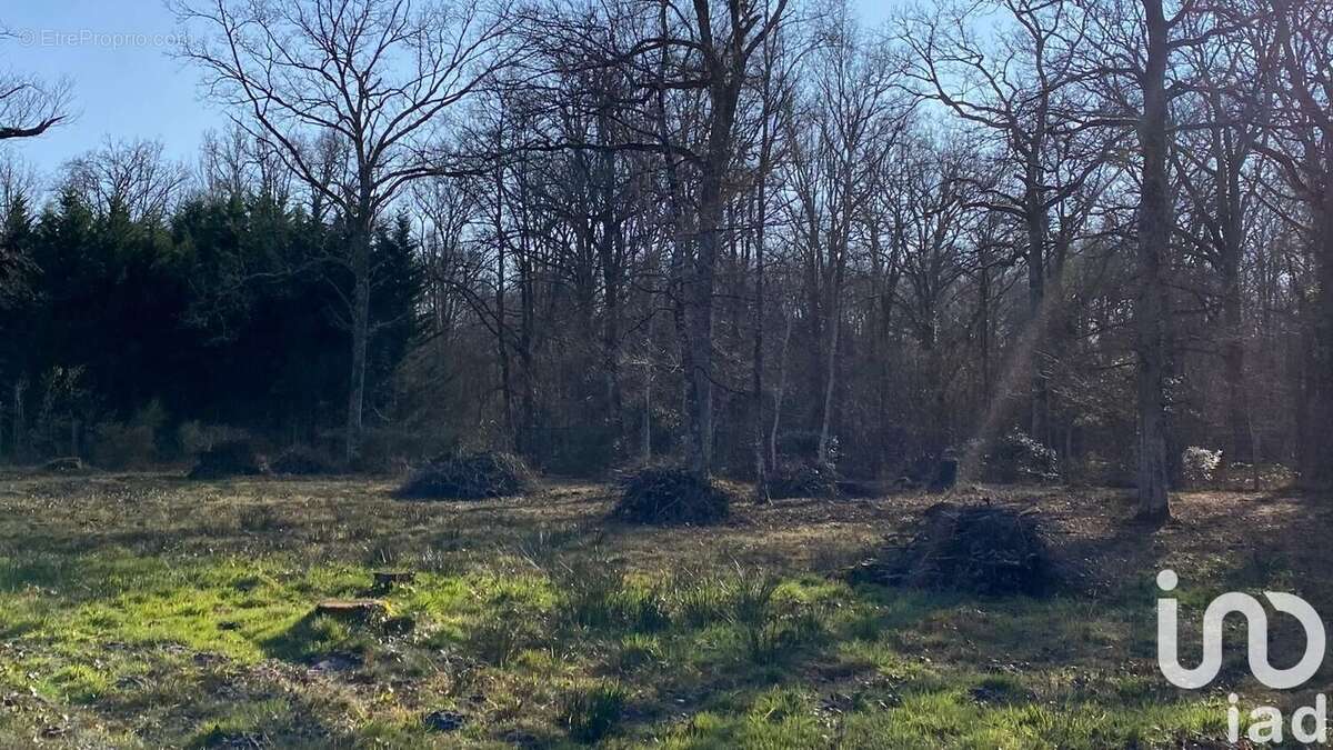 Photo 4 - Terrain à NANCAY